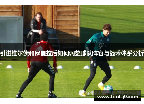 引进维尔茨和穆夏拉后如何调整球队阵容与战术体系分析 引进维尔茨和穆夏拉后如何调整球队阵容与战术体系分析