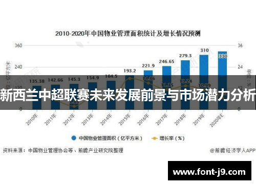 新西兰中超联赛未来发展前景与市场潜力分析
