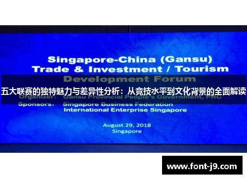 五大联赛的独特魅力与差异性分析：从竞技水平到文化背景的全面解读