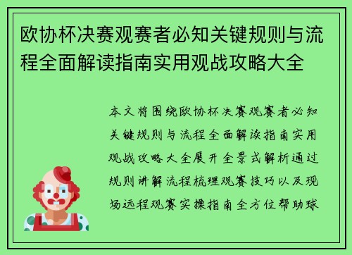 欧协杯决赛观赛者必知关键规则与流程全面解读指南实用观战攻略大全