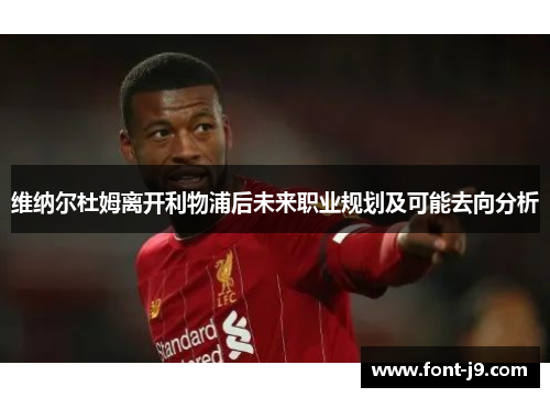 维纳尔杜姆离开利物浦后未来职业规划及可能去向分析 维纳尔杜姆离开利物浦后未来职业规划及可能去向分析